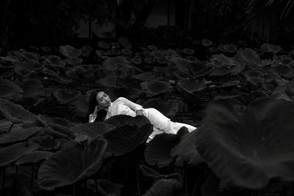 Among the Lotus