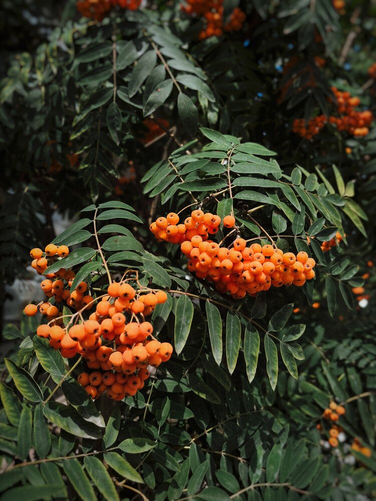 Photograph by Юлия Куклина