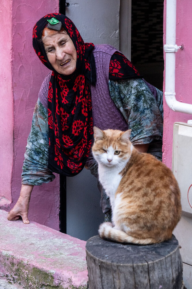 Human and cat