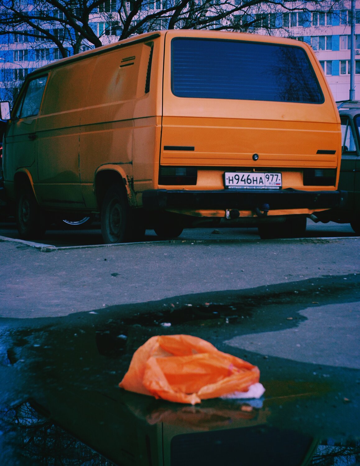Photo #13968314