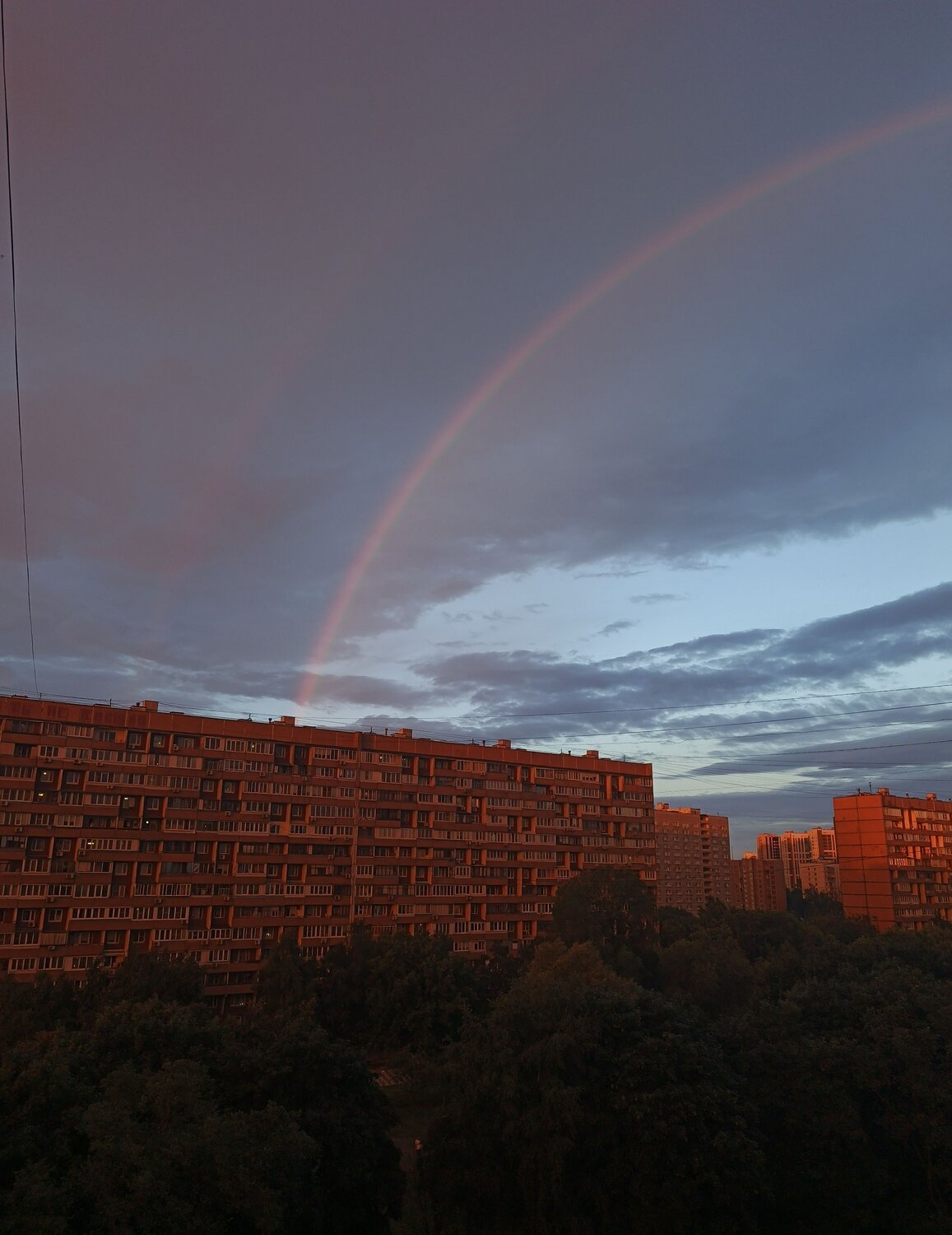 Photo #13968335