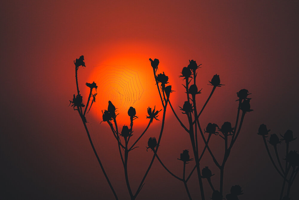 Photograph by Светлана Каравайская