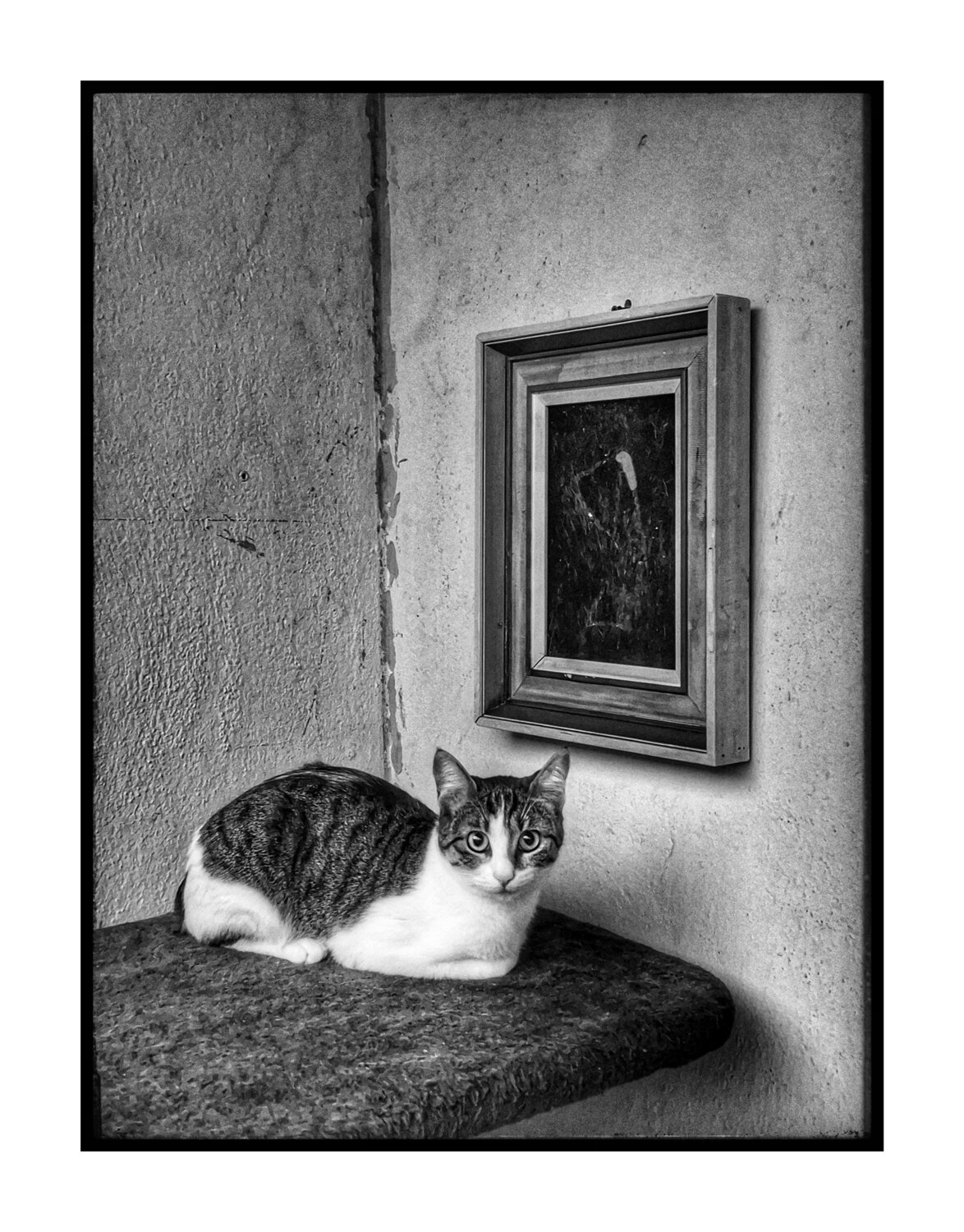 Photo framed