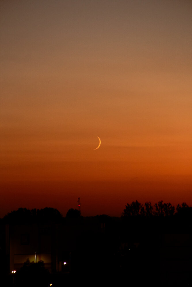 Photograph by Алиса Исаева