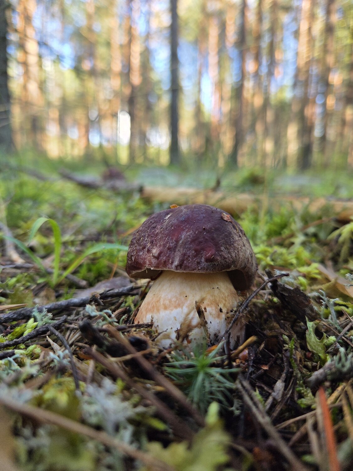 Photo #13968514