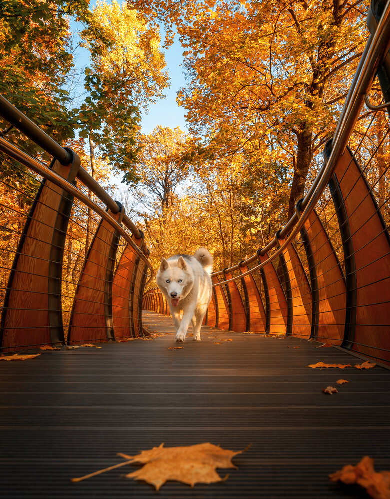 Photograph by Мазурева Анастасия