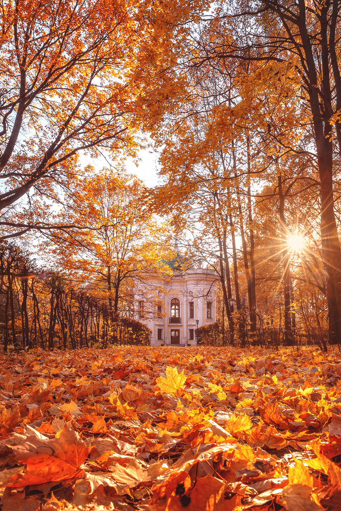 Фотография автора Мазурева Анастасия