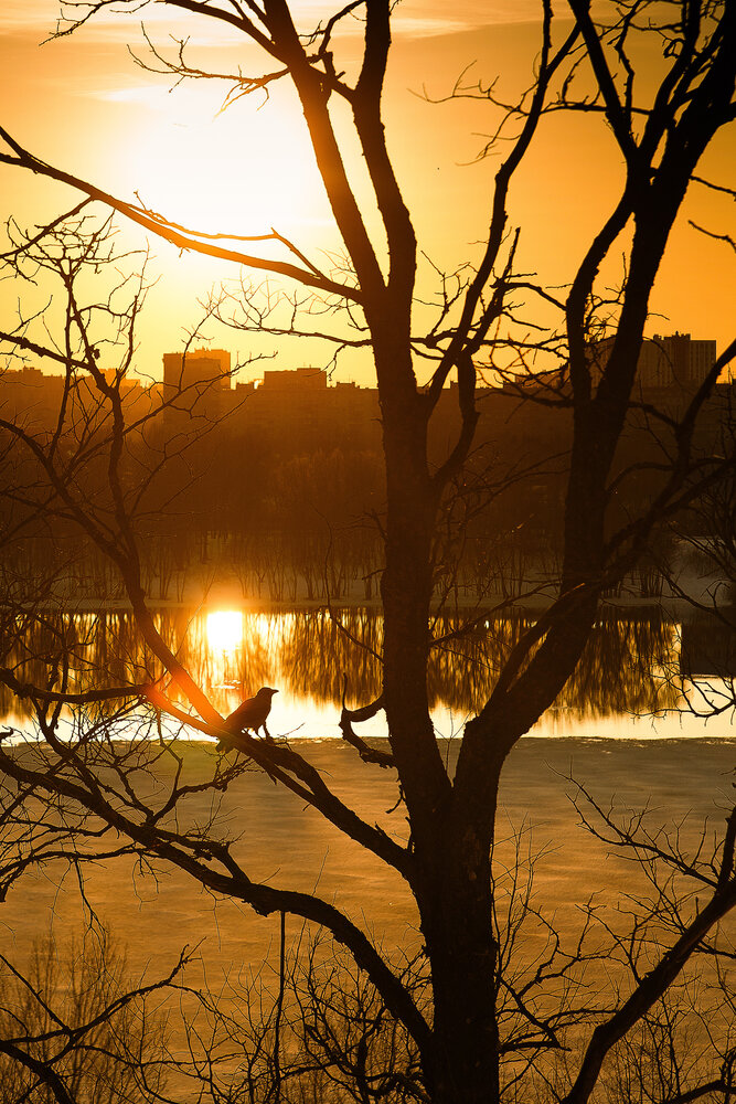 Photograph by Дарья Улюсова