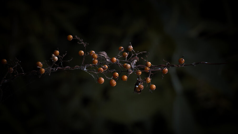 Photograph by Trong Hoang