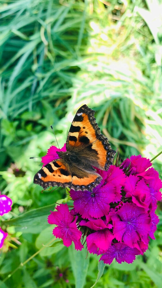 Photograph by Влада Семёнова