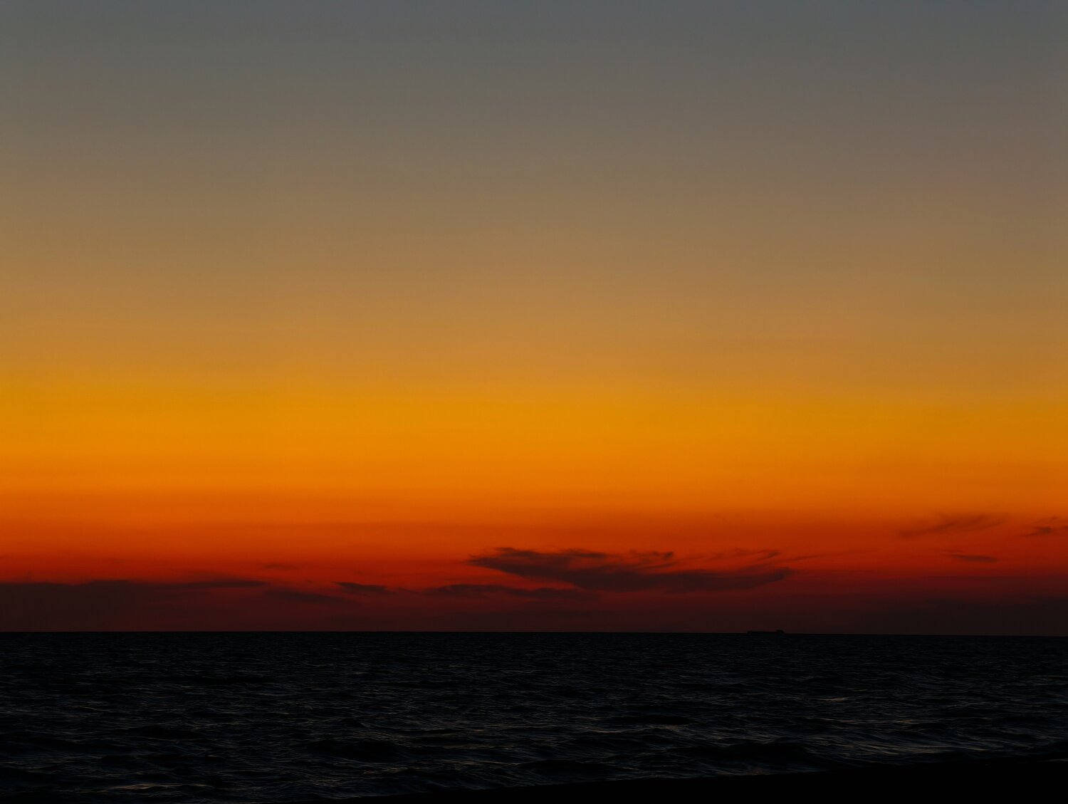 Photo #13968620