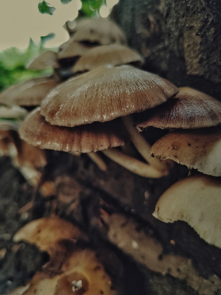 Photograph by Наталья Веряскина