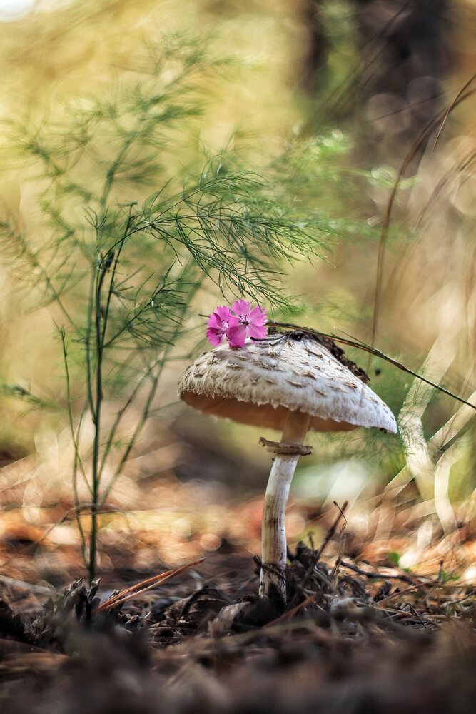 Photograph by Лариса Рыбак