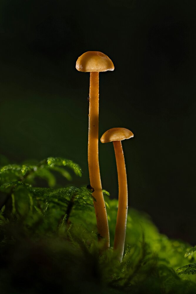 Photograph by Игорь Иванов