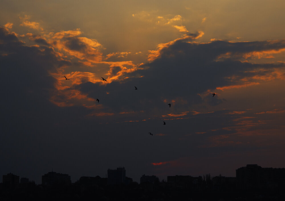 Photograph by Дарья Козлова