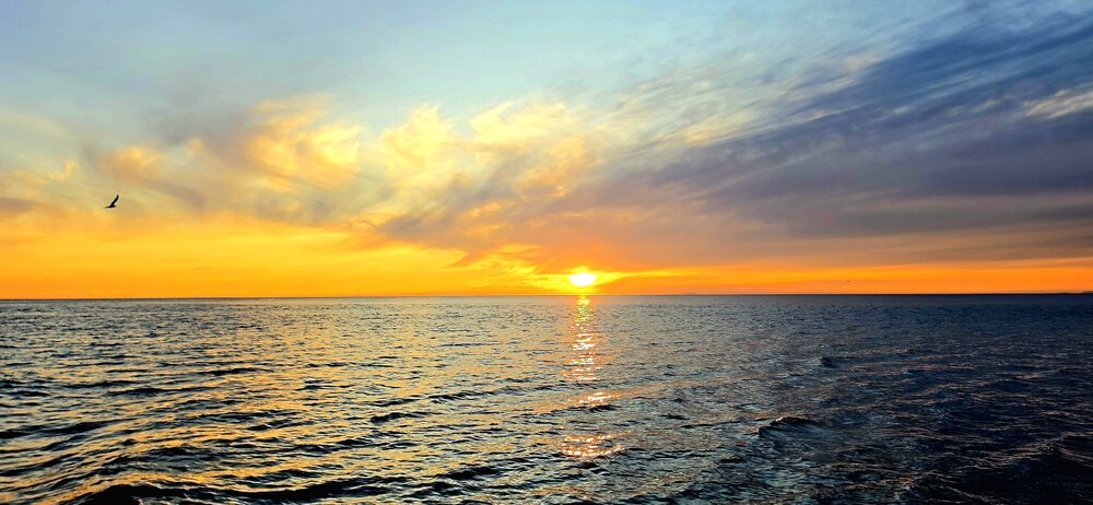 Photograph by Лариса Ким
