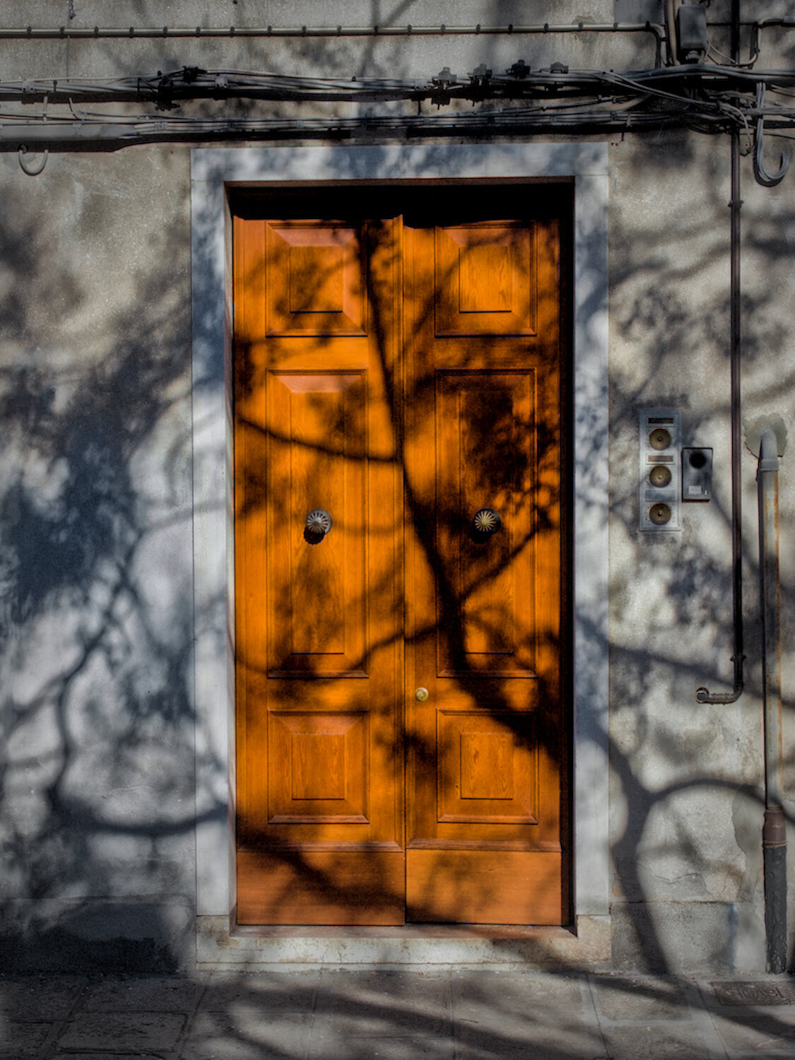 Venice Door