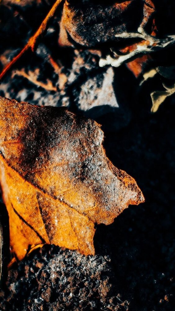 Photograph by Юлия Сысоева