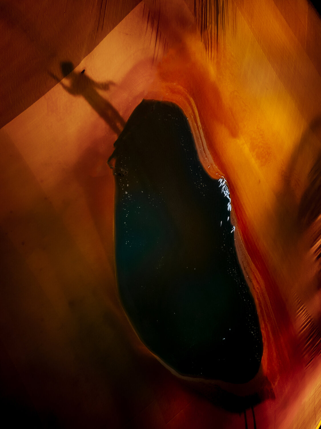 Photo #13969147