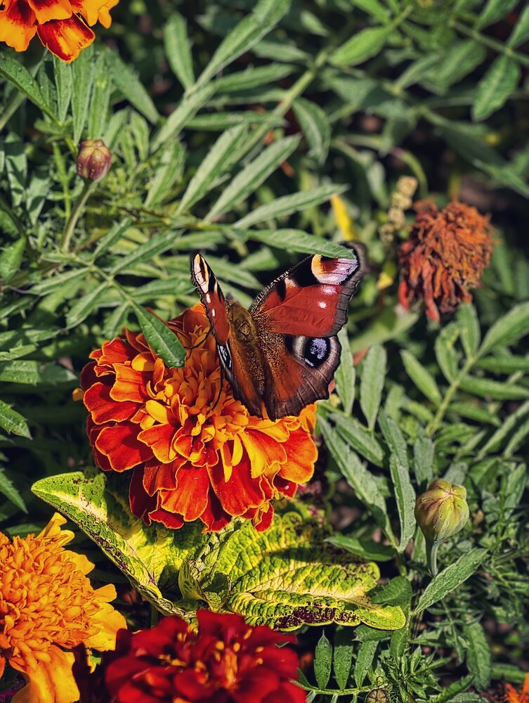 Photograph by Арина Черникова