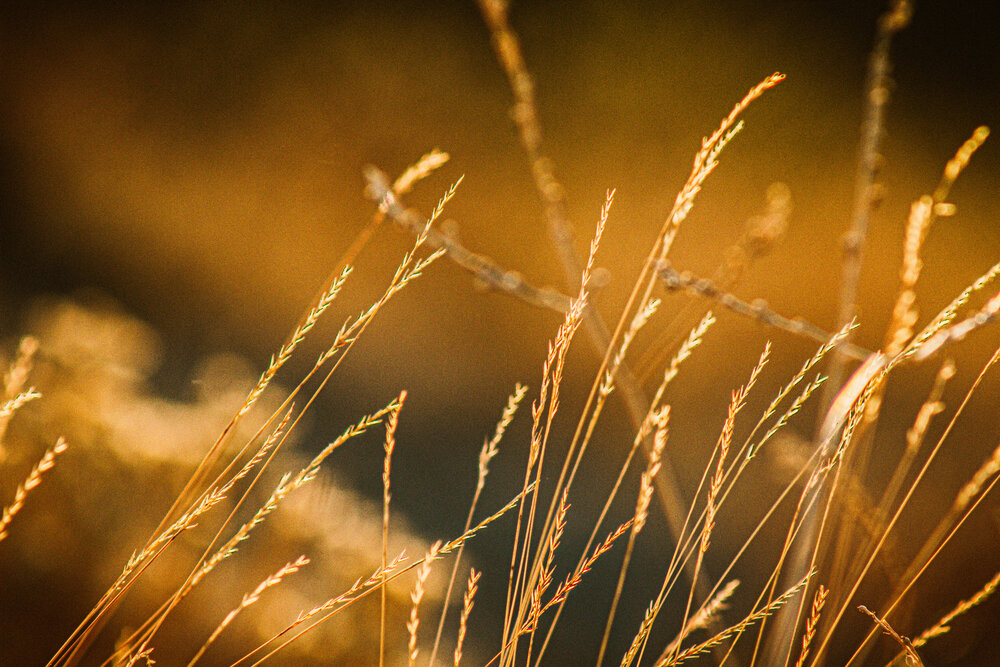 Photograph by Юлия Сысоева