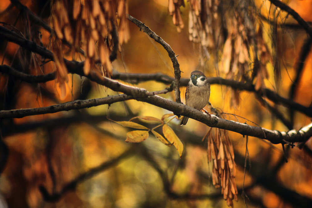 Photograph by Vitaliy Saposhnikov