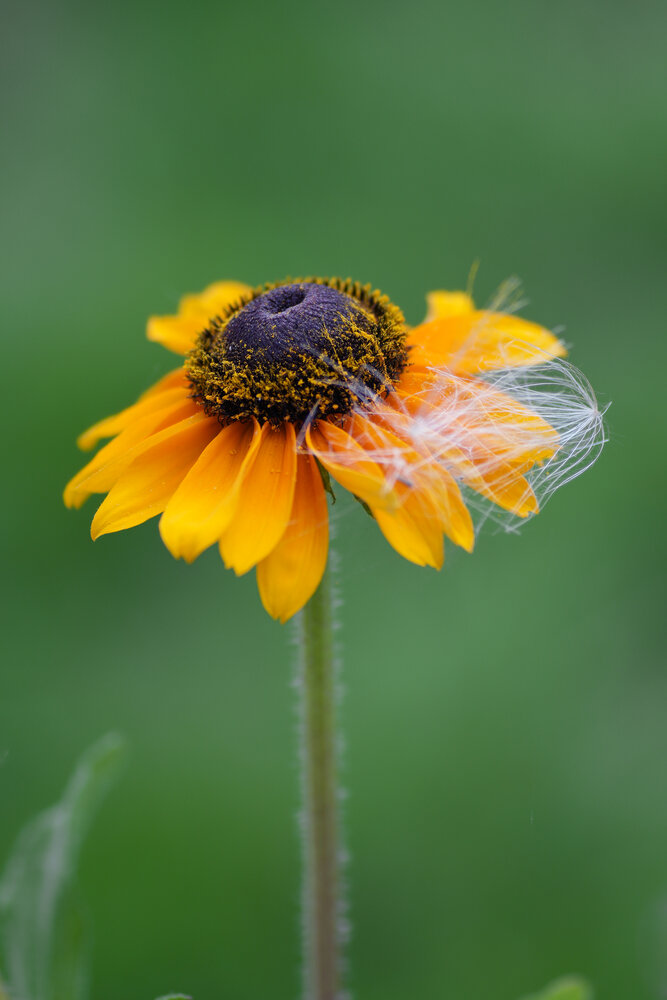 Photograph by Шевелева Юлия