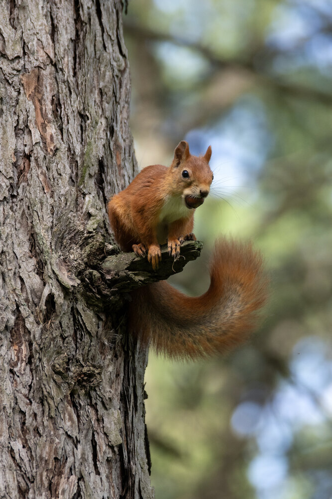 Photograph by Шевелева Юлия