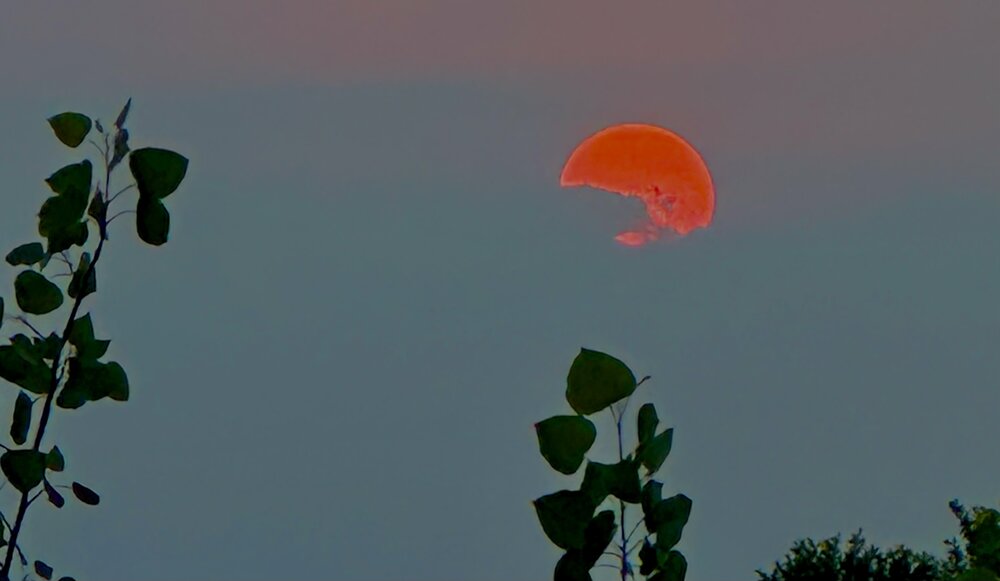 Photograph by farzaneh razmgir