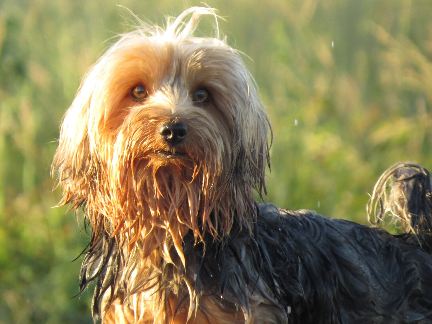 Photo #13969421