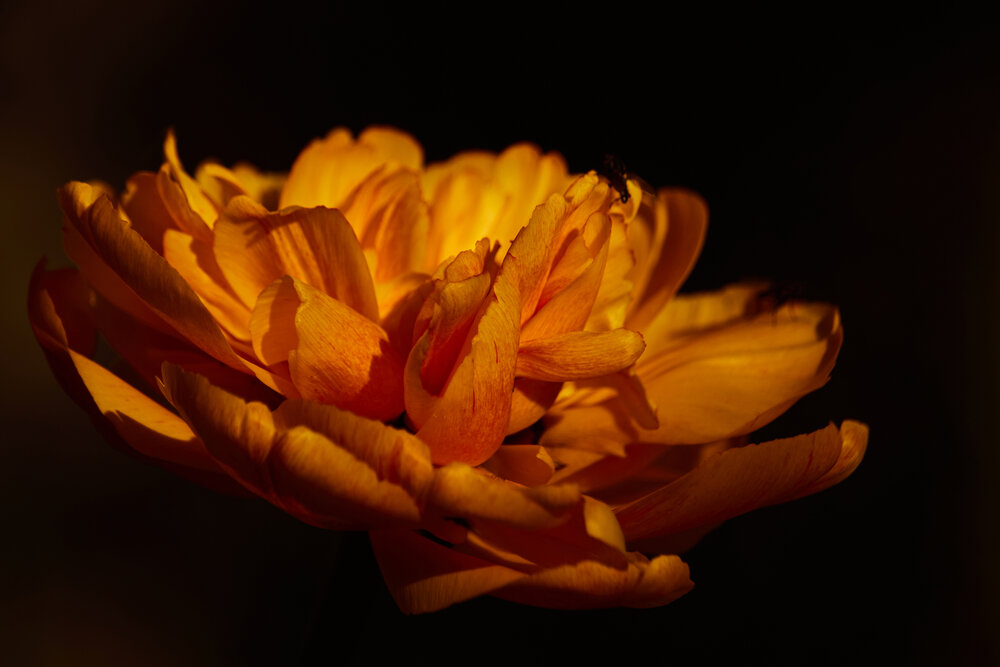 Photograph by Татьяна Полянская