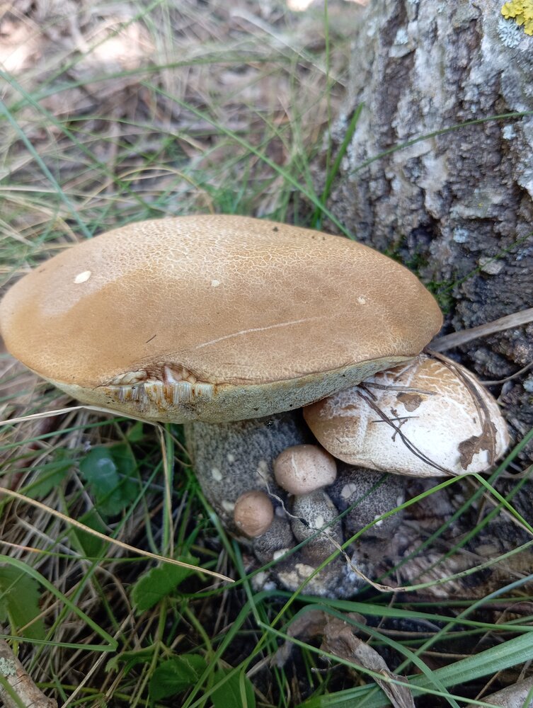 Photo #13969533