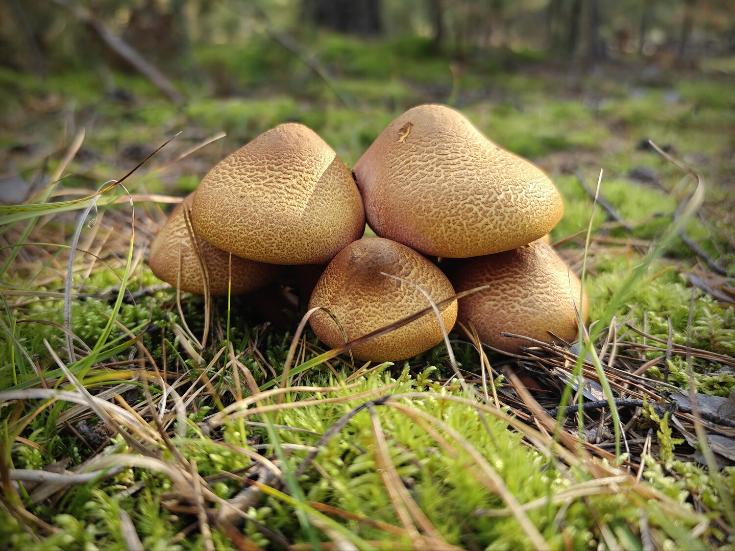 Photo #13969543