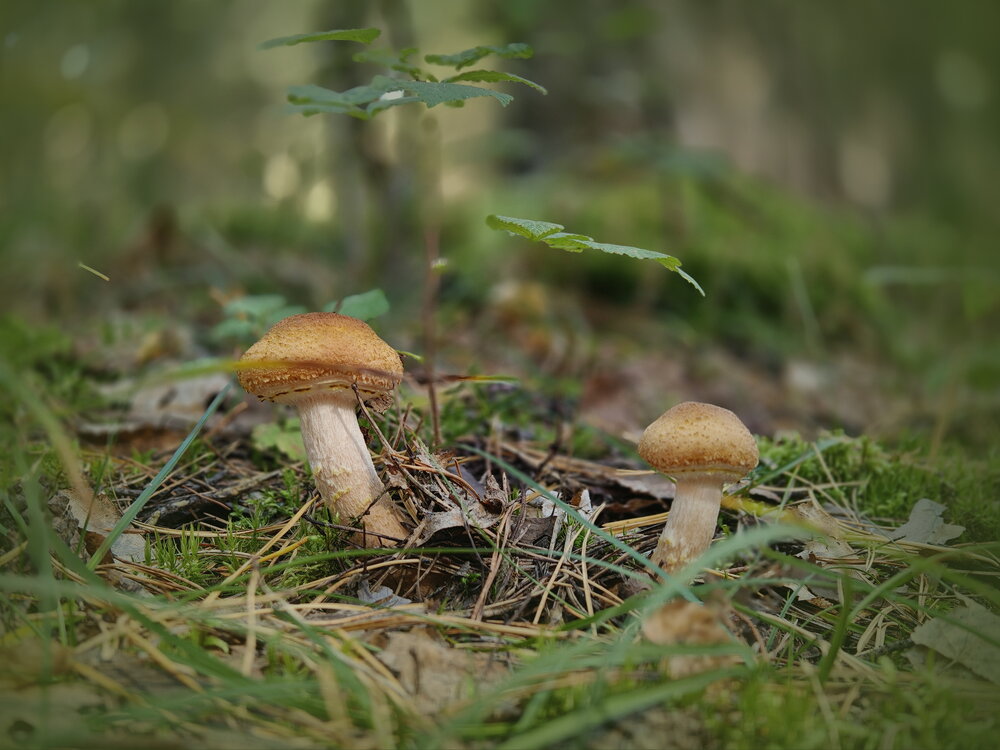 Photograph by Дмитрий Кузнецов