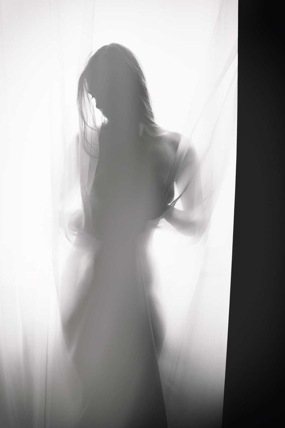 Photo #13969619