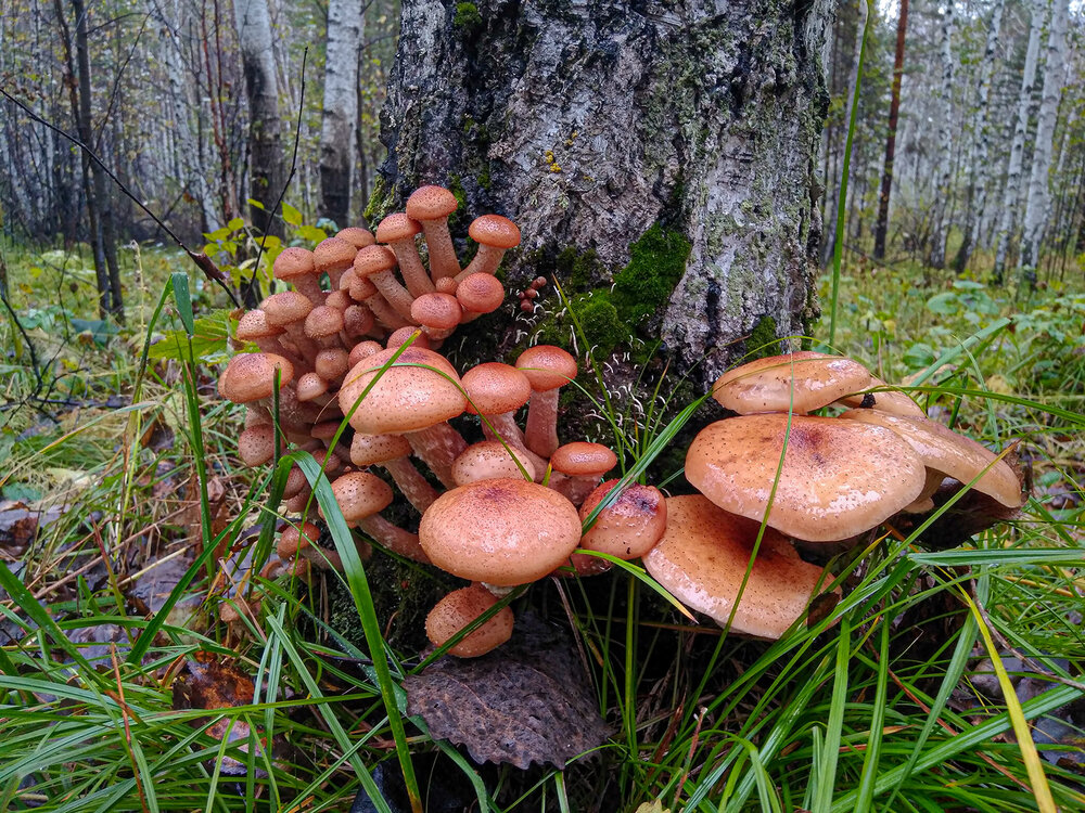 Photograph by Станислав Татарников