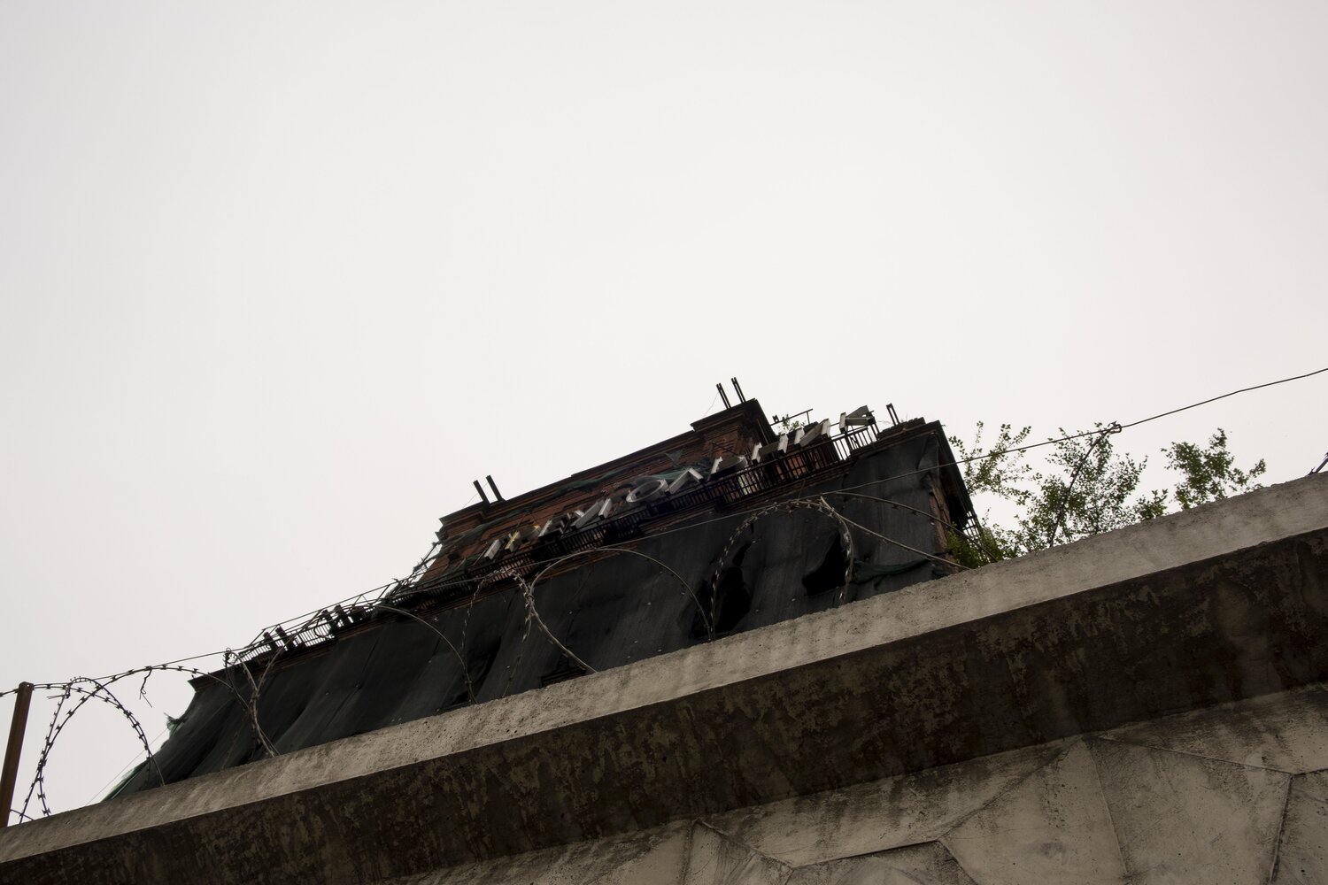 Photo #13969650