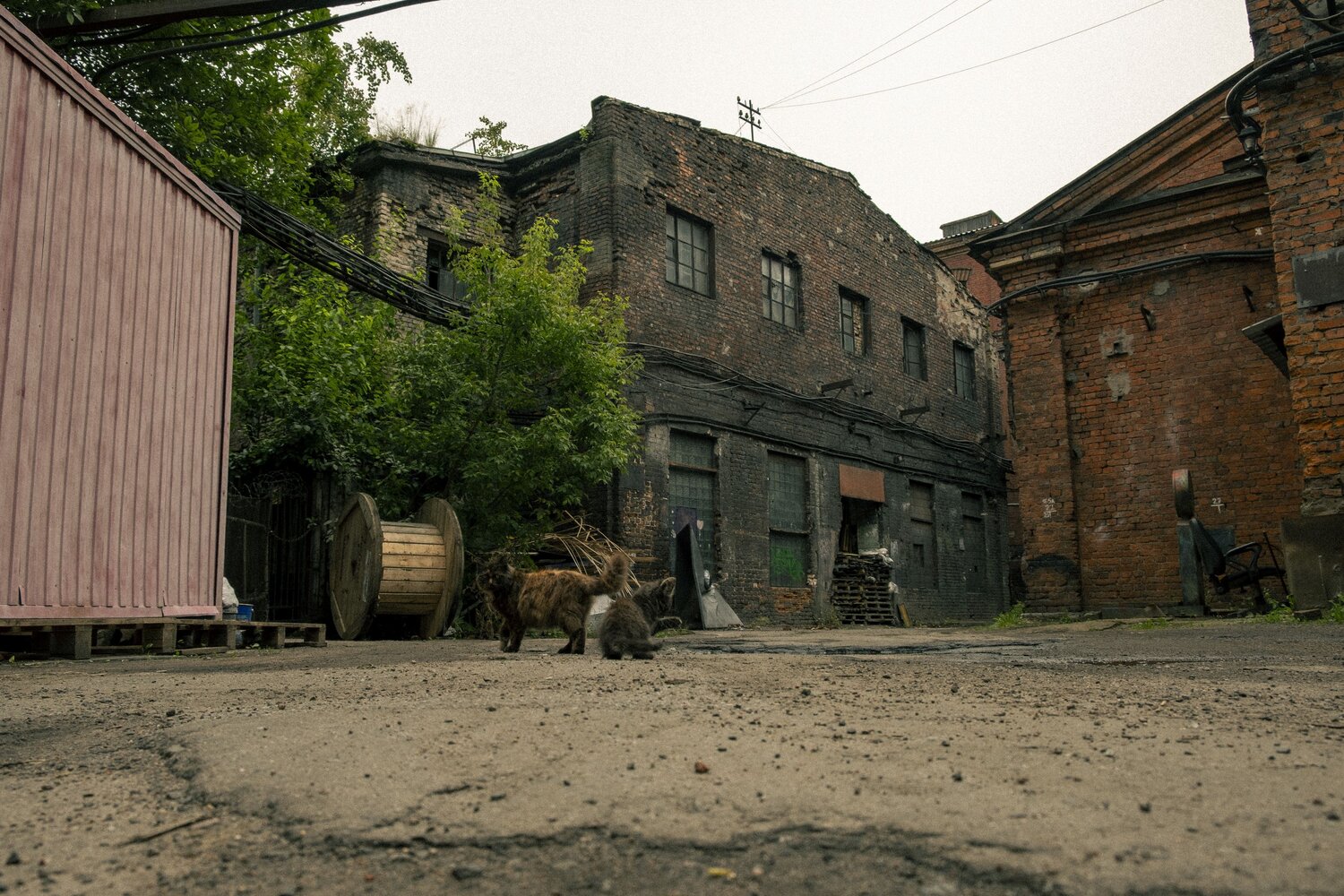 Photo #13969663