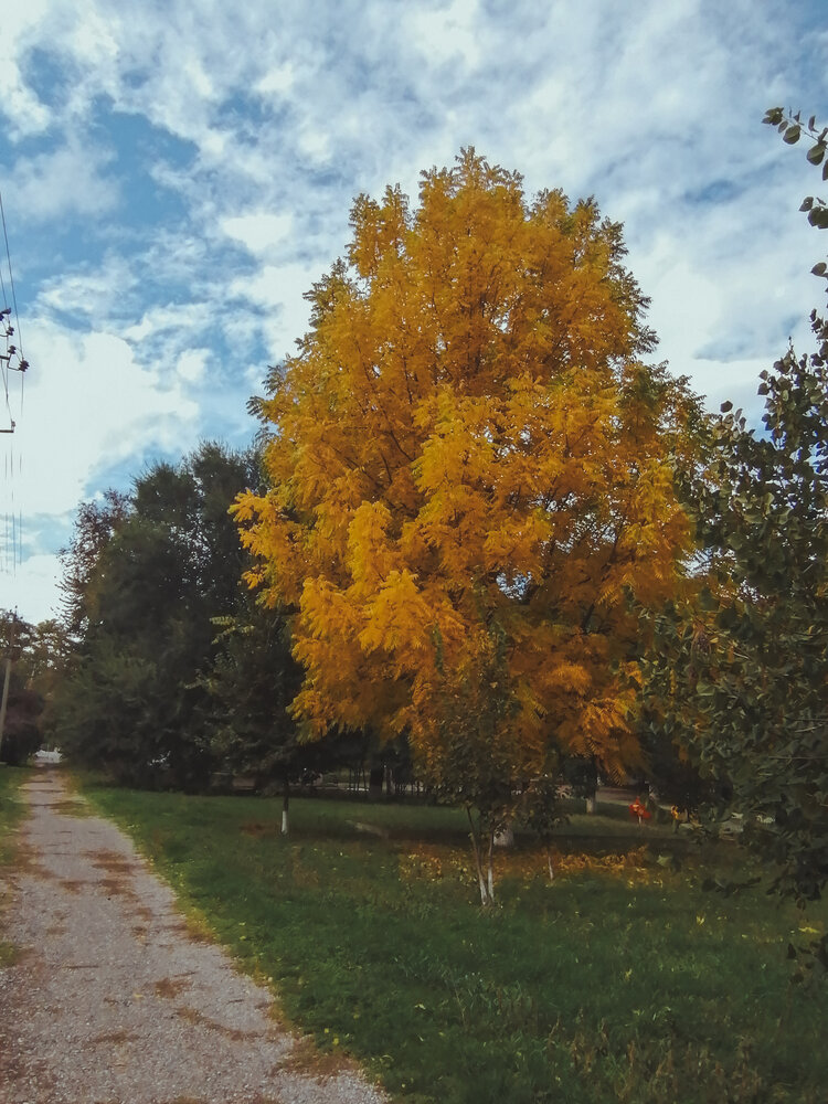 Photograph by Наталия Соболева