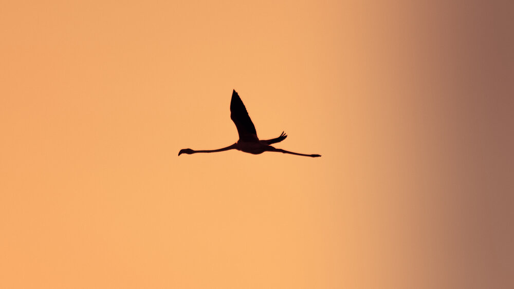 Photograph by Mazen Abdennadher