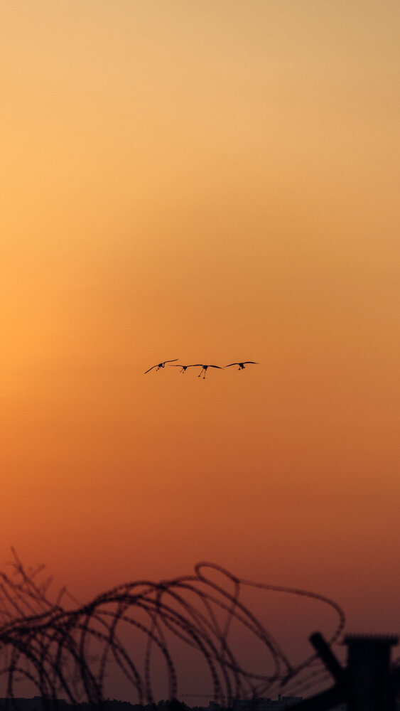 Photograph by Mazen Abdennadher