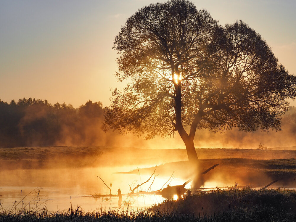 Photograph by Марина Брыдня