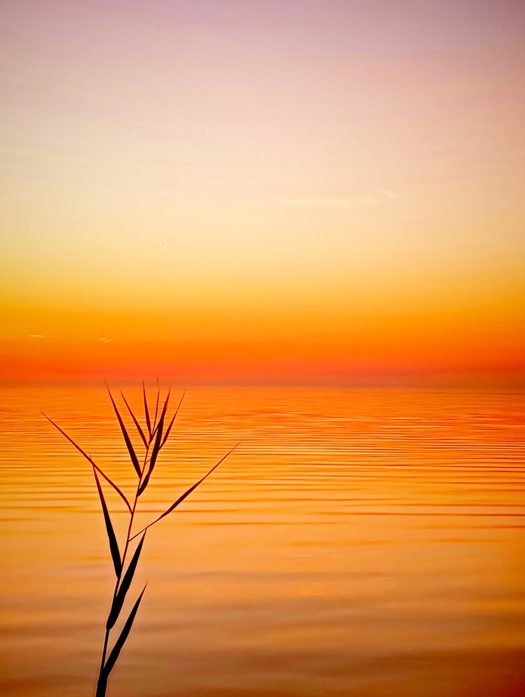 Photograph by Виталий