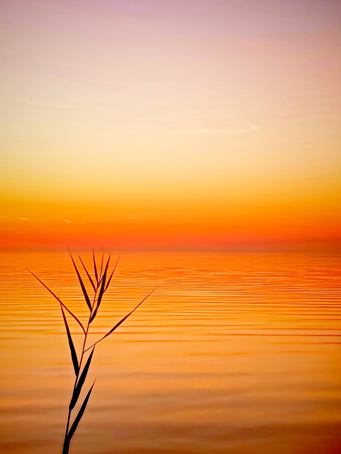 Photo #13969760