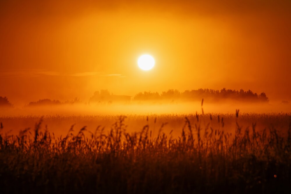 Photograph by Анна Любимова