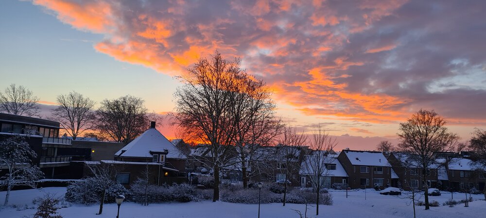 An view in winter