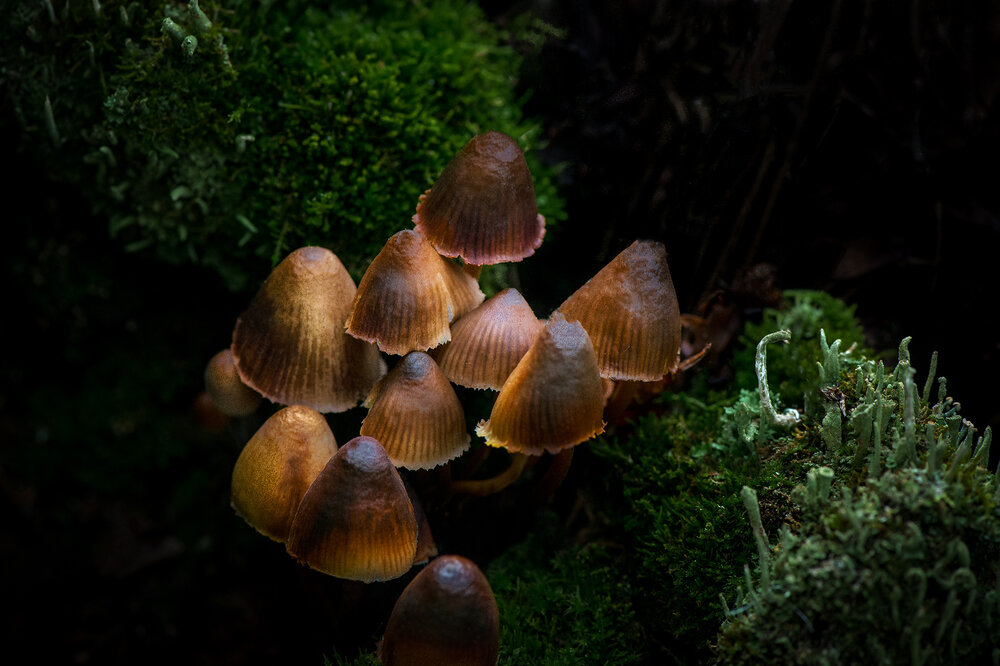 Photograph by Владислав Никишин