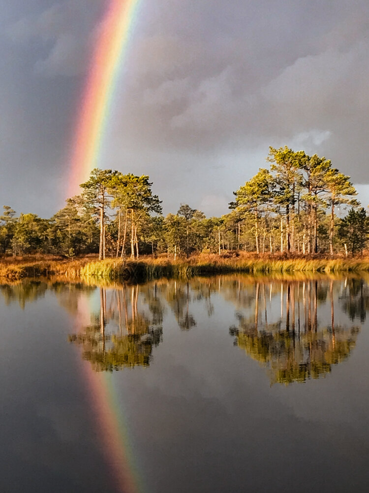 Photograph by Лариса Гришкевич