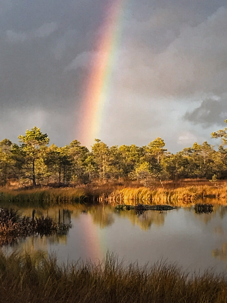Photograph by Лариса Гришкевич
