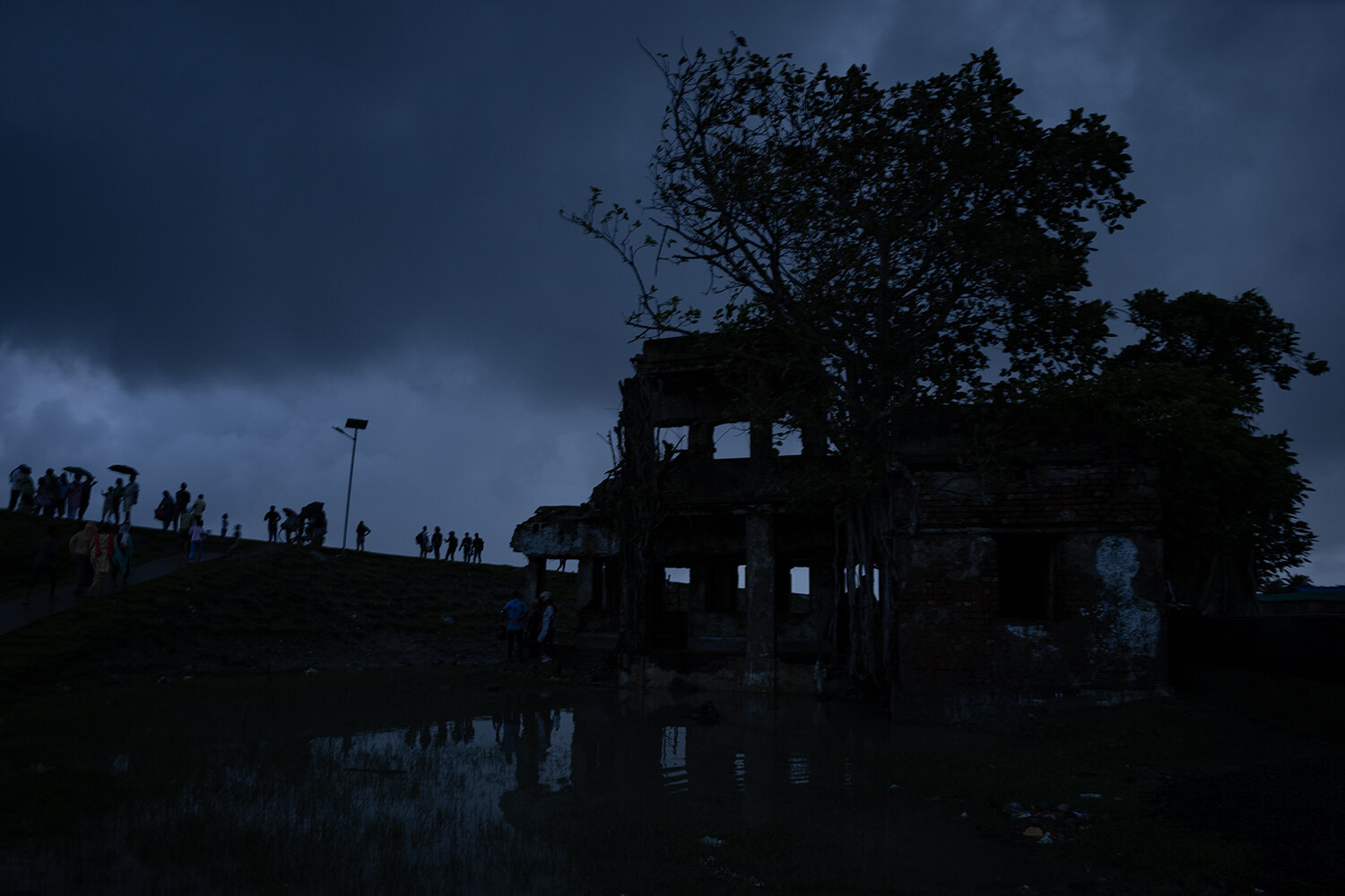 Photo #13969996